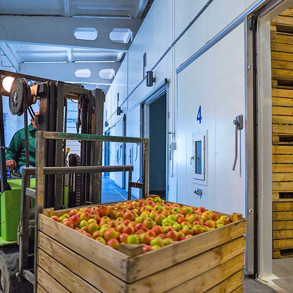 Fresh Produce We Transport